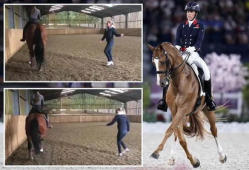 马视频,探寻马儿风采的视觉盛宴